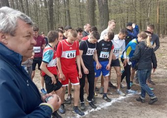 Відбувся фінальний етап ХХІ обласної спартакіади школярів Рівненщини з легкоатлетичного кросу