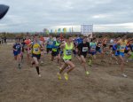Відбувся чемпіонат України з кросу